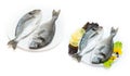 Two raw fresh dorado fish with spices and lemon on a white table. Royalty Free Stock Photo