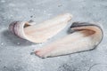 Two raw haddock fish fillets on kitchen table. Gray background. Top view Royalty Free Stock Photo