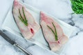 Two raw halibut steaks Royalty Free Stock Photo