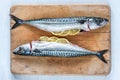 Two raw mackerels