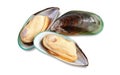 Two raw New Zealand mussels Royalty Free Stock Photo