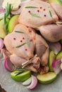 Two raw organic chicken with green apples, red onion and rosemary Royalty Free Stock Photo