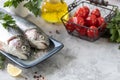 Two raw rainbow trout fish on a plate, greens and fresh vegetables for preparing healthy and tasty food. Healthy diet and Royalty Free Stock Photo