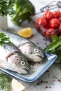 Two raw rainbow trout fish on a plate, greens and fresh vegetables for preparing healthy and tasty food. Healthy diet and Royalty Free Stock Photo