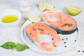 Raw marinated red fish in spices, lime and olive oil in a white plate. Close up Royalty Free Stock Photo