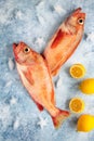 Two raw red porgies with lemons on blue background