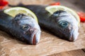 Two raw seabass fish with lemon close-up Royalty Free Stock Photo