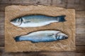Two raw seabass fish on wooden background Royalty Free Stock Photo