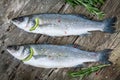 Two raw seabass with lime and rosemary Royalty Free Stock Photo