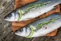 Two raw seabass with lime and rosemary Royalty Free Stock Photo