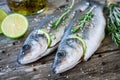 Two raw seabass with lime and rosemary Royalty Free Stock Photo