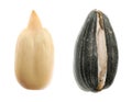 Two raw sunflower seeds on white background Royalty Free Stock Photo