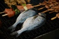 Raw whole fish lies on the grill Royalty Free Stock Photo