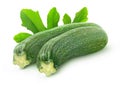 Two raw zucchini Royalty Free Stock Photo