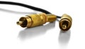 Two RCA connectors with a gold covering for audio and video. Royalty Free Stock Photo