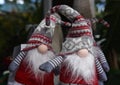 Two Christmas Gnomes that look like Trolls in Florida
