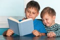 Two reading boys at the desk Royalty Free Stock Photo