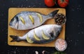 Two ready to cook fresh dorada fish Royalty Free Stock Photo