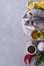 Two ready to cook raw bream fish with herbs, lemon and olive oil on marble board on gray background. With copy space. Top view Royalty Free Stock Photo