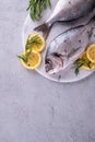 Two ready to cook raw bream fish with herbs, lemon and olive oil on marble board on gray background. With copy space. Top view Royalty Free Stock Photo