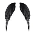 Two real black angel wings with big feathers isolated on white background Royalty Free Stock Photo