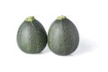 Two realistic looking globe or eight ball squash or zucchini or round courgette - cucurbita pepo - isolated white background