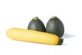 Two realistic looking globe or eight ball squash or zucchini or round courgette and a yellow courgette - cucurbita pepo -