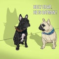 Two realistic portraits of French bulldog isolated on a green background. Black mask. hand drawn cute house pet Royalty Free Stock Photo