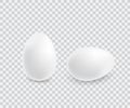 Two realistic white eggs. Royalty Free Stock Photo