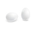Two realistic white eggs. Royalty Free Stock Photo
