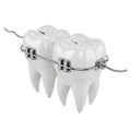 Two White Teeth with Metal Braces and Archwire on White Background dental orthodontics Royalty Free Stock Photo