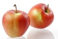 Two red apples Royalty Free Stock Photo