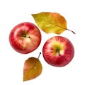 Two red apples. Generative ai