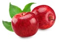 two red apples with green leaves isolated on white background. clipping path Royalty Free Stock Photo