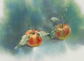 Two red apples on the green watercolor background