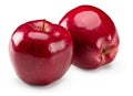 two red apples isolated on white background. clipping path Royalty Free Stock Photo