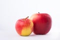 Two red apples on white background Royalty Free Stock Photo