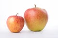 Two red apples on white background Royalty Free Stock Photo