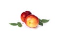 Two red bald peaches on white background. Peaches closeup red color