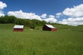 Two Red Barns in a Field Royalty Free Stock Photo