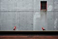 two red birds sitting on a ledge in front of a building Royalty Free Stock Photo