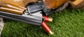 Two red bullets for a gun, fell on a green lawn Royalty Free Stock Photo