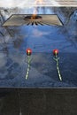 Two red carnations. Eternal flame war memorial.