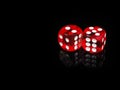 Two red casino dices with reflection . black background Royalty Free Stock Photo