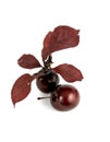 Two red Cherries Royalty Free Stock Photo