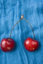 Two Red Cherries Royalty Free Stock Photo