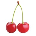 Two red cherries Royalty Free Stock Photo