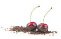 Two red cherries in chocolate dipped with grated chocolate isolated on white background Royalty Free Stock Photo