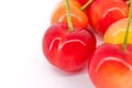 Two red cherries Royalty Free Stock Photo