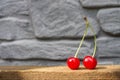 Two red cherries with cuttings. Royalty Free Stock Photo